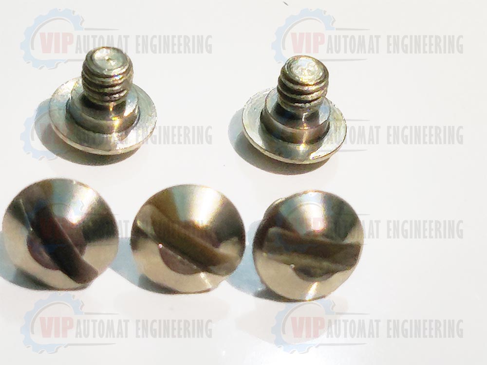 SS316 Screw 